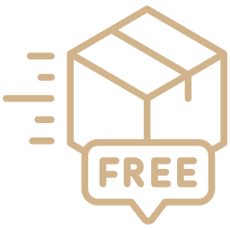 Icon of a fast free delivery package.